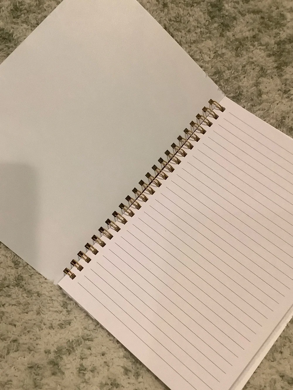 Spiral-Bound Mountain Lake Camping Travel Notebook Journal NWT ~75 lined pages